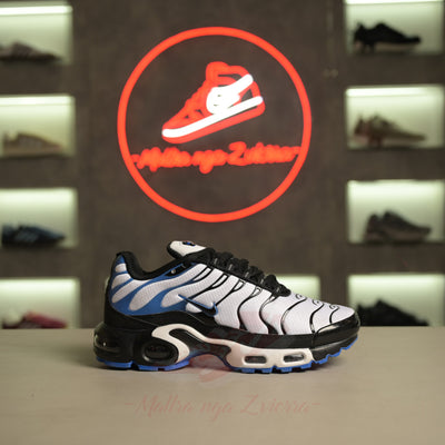 Nike Air Max Plus “Persian Violet”