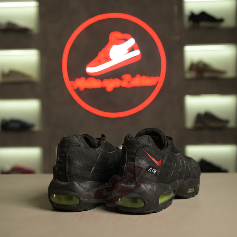Nike Air Max 95 "LeBron"